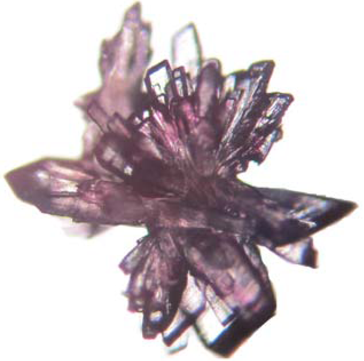 Molecules 17 04583 g002