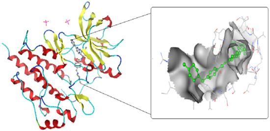 Molecules 17 04717 g003 550