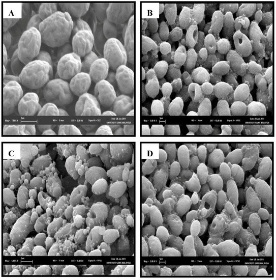 Molecules 17 04860 g004 550