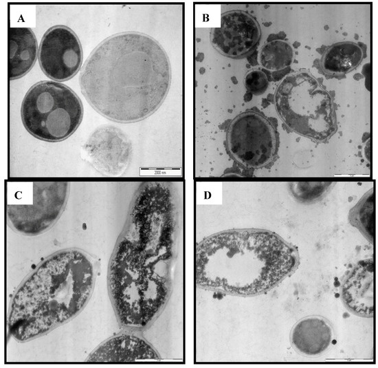 Molecules 17 04860 g005 550