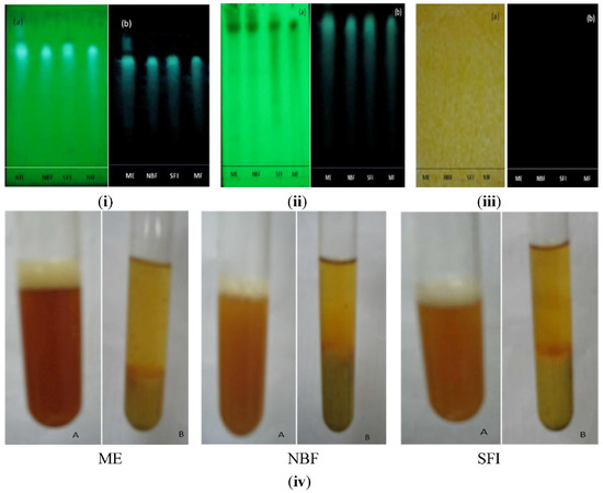 Molecules 17 04986 g008 550
