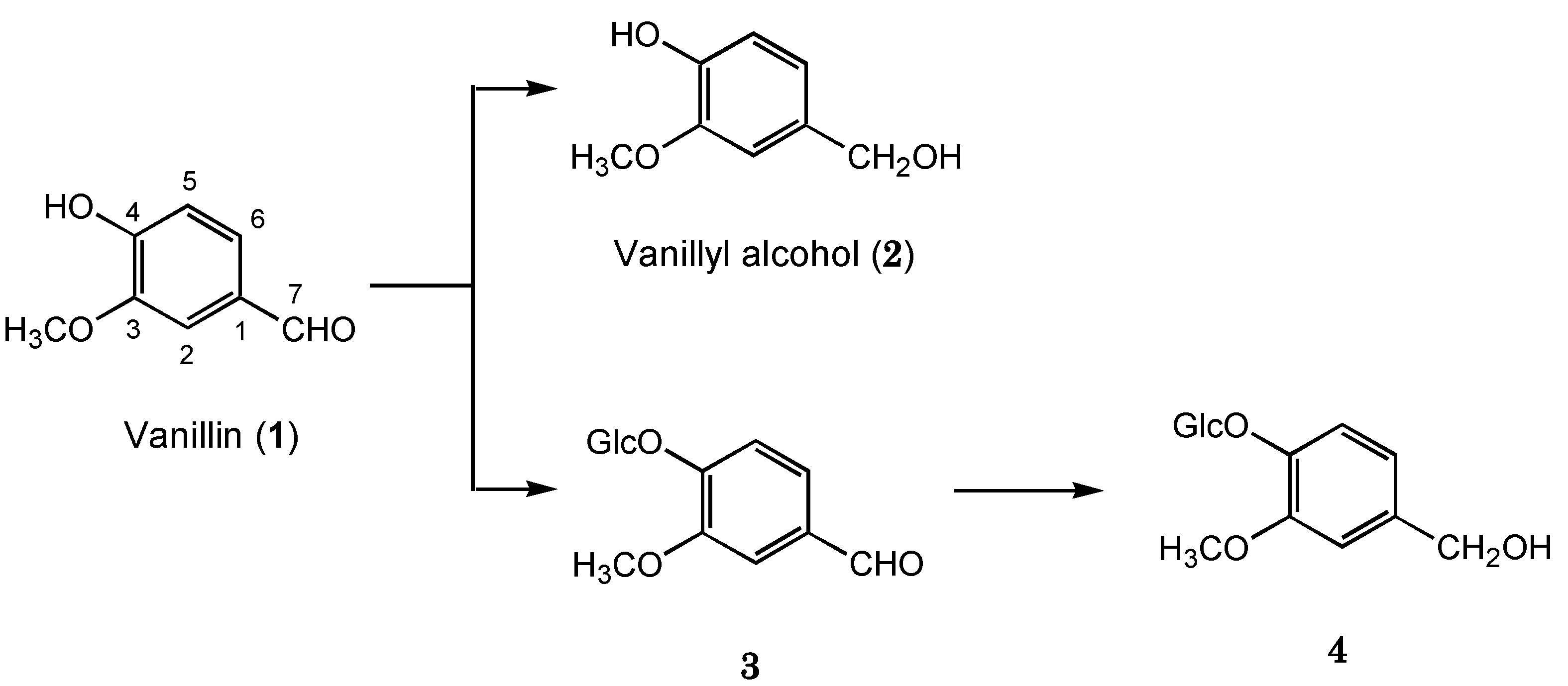 Molecules 17 05013 g003