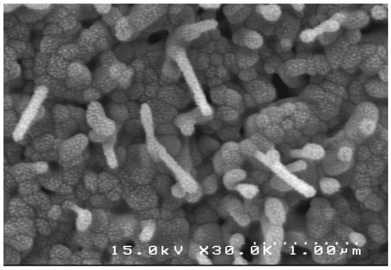 Molecules 17 05021 g003 550