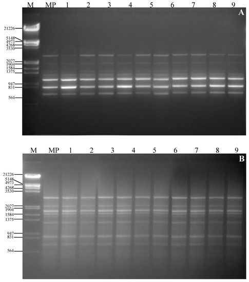 Molecules 17 05050 g003 550