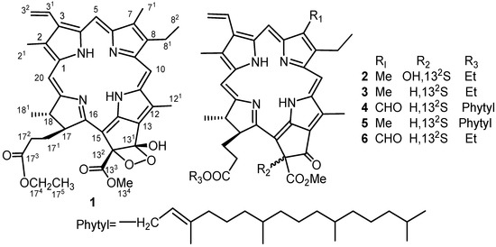 Molecules 17 05219 g001 550