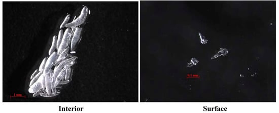 Molecules 17 05422 g005 550