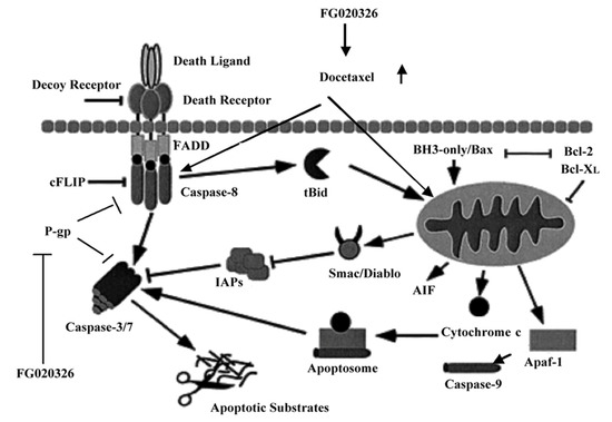 Molecules 17 05442 g006 550