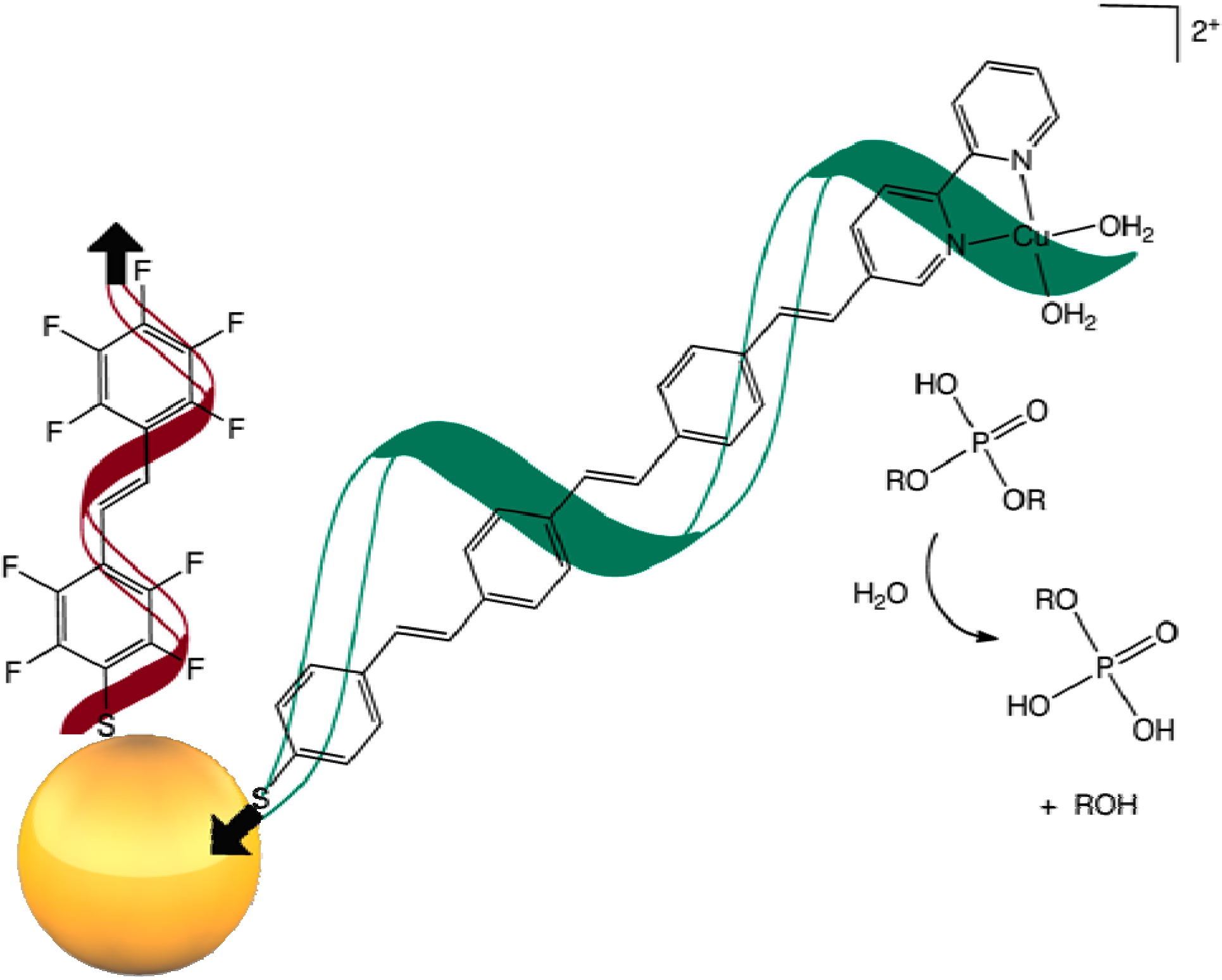 Molecules 17 05724 g001
