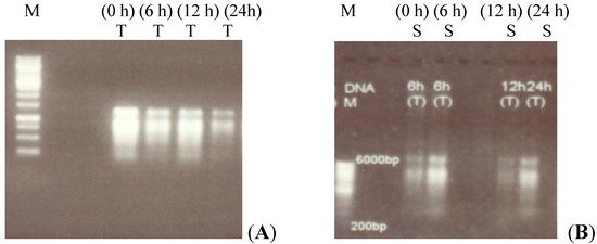 Molecules 17 05803 g001 550