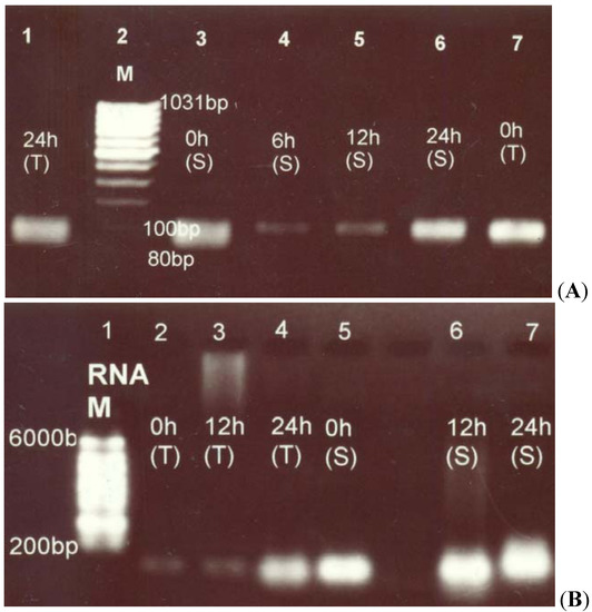 Molecules 17 05803 g002 550