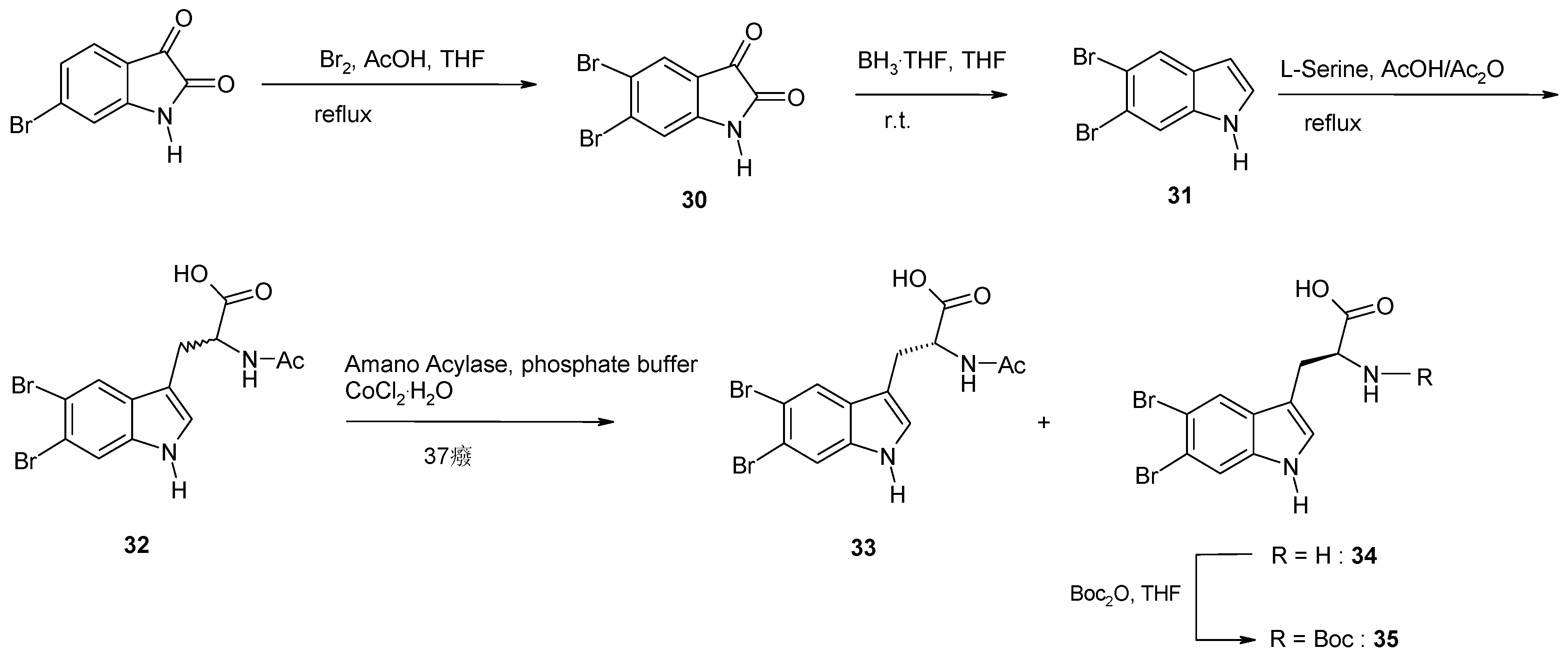 Molecules 17 06083 sch002