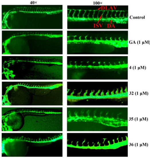 Molecules 17 06249 g001 550