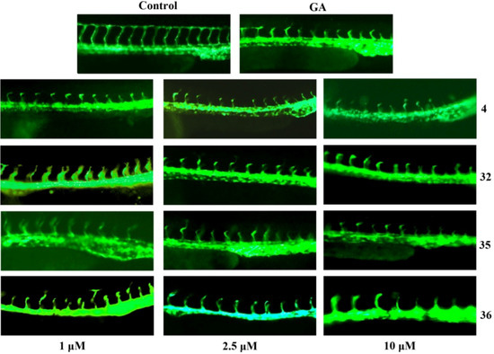 Molecules 17 06249 g002 550