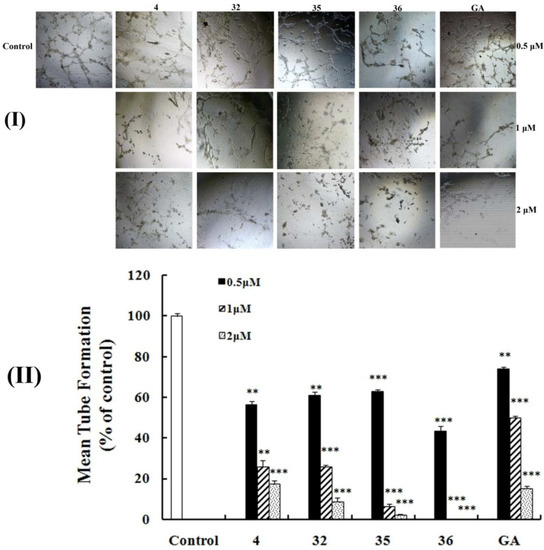 Molecules 17 06249 g004 550