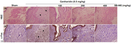 Molecules 17 06277 g004 550