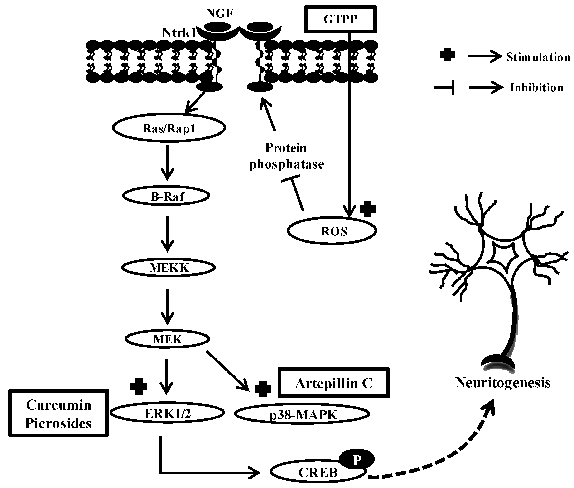 Molecules 17 06728 g009