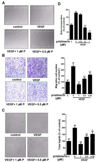 Molecules 17 06854 g004 550