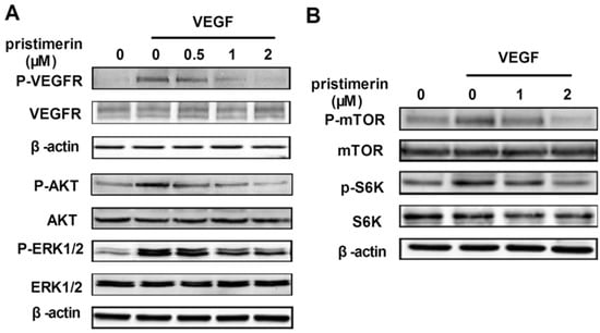 Molecules 17 06854 g005 550