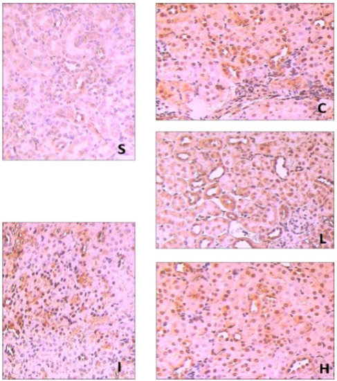 Molecules 17 07195 g002 550
