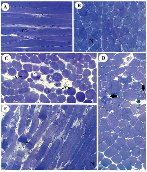 Molecules 17 07503 g006 550