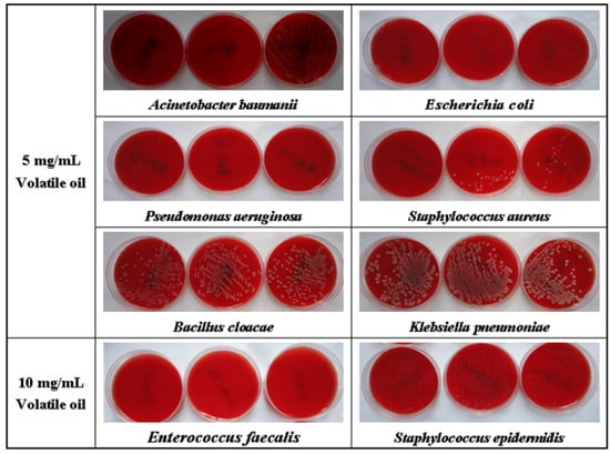 Molecules 17 07758 g002 550