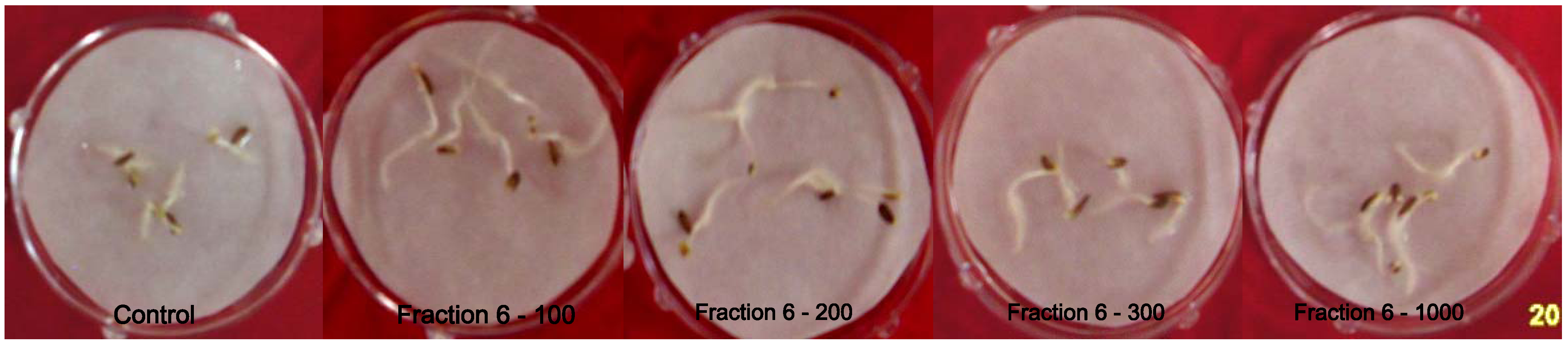 Molecules 17 07980 g003