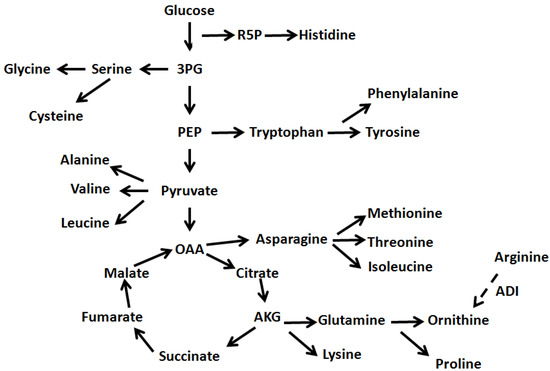 Molecules 17 08022 g004 550