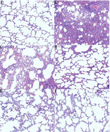 Molecules 17 08159 g006 550