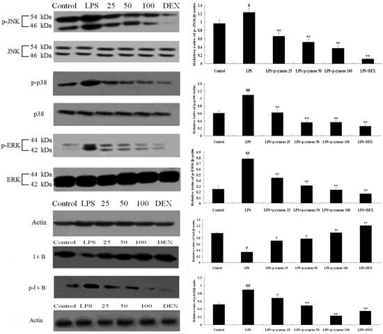 Molecules 17 08159 g007 550