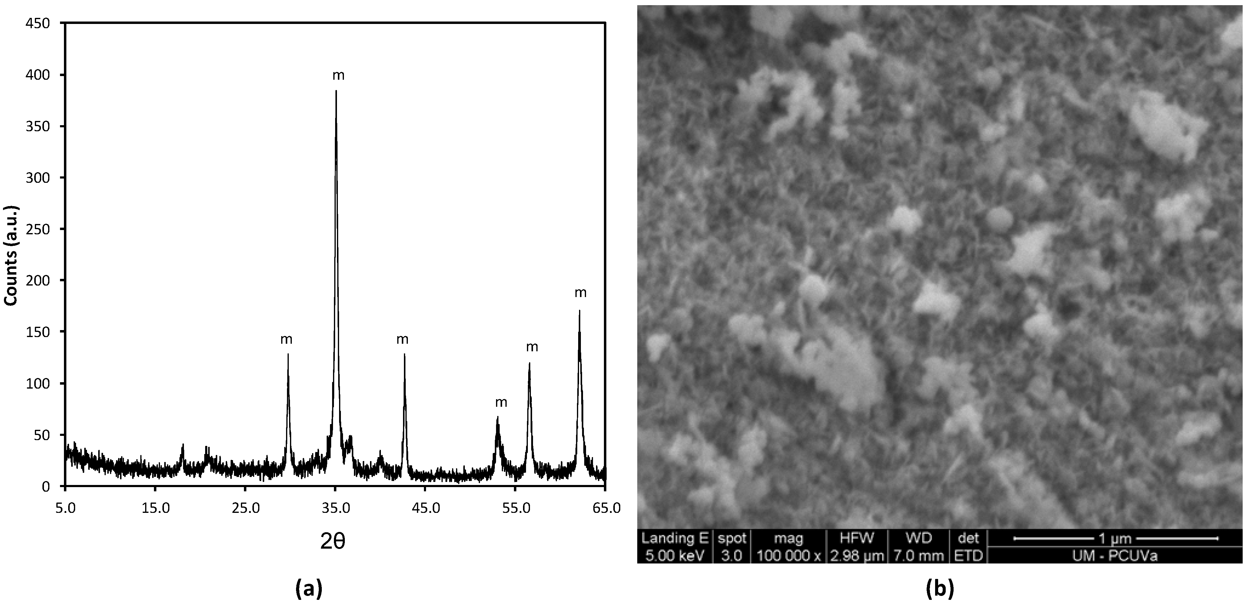 Molecules 17 08859 g005
