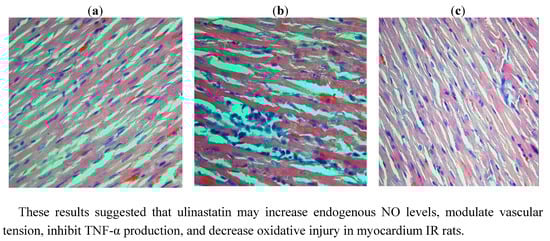 Molecules 17 09070 g005 550