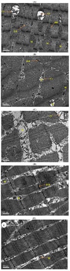Molecules 17 09081 g002 550