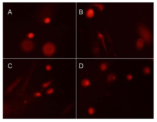 Molecules 17 09104 g004 550