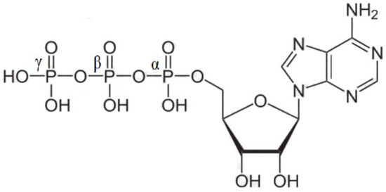 Molecules 17 09489 g001 550