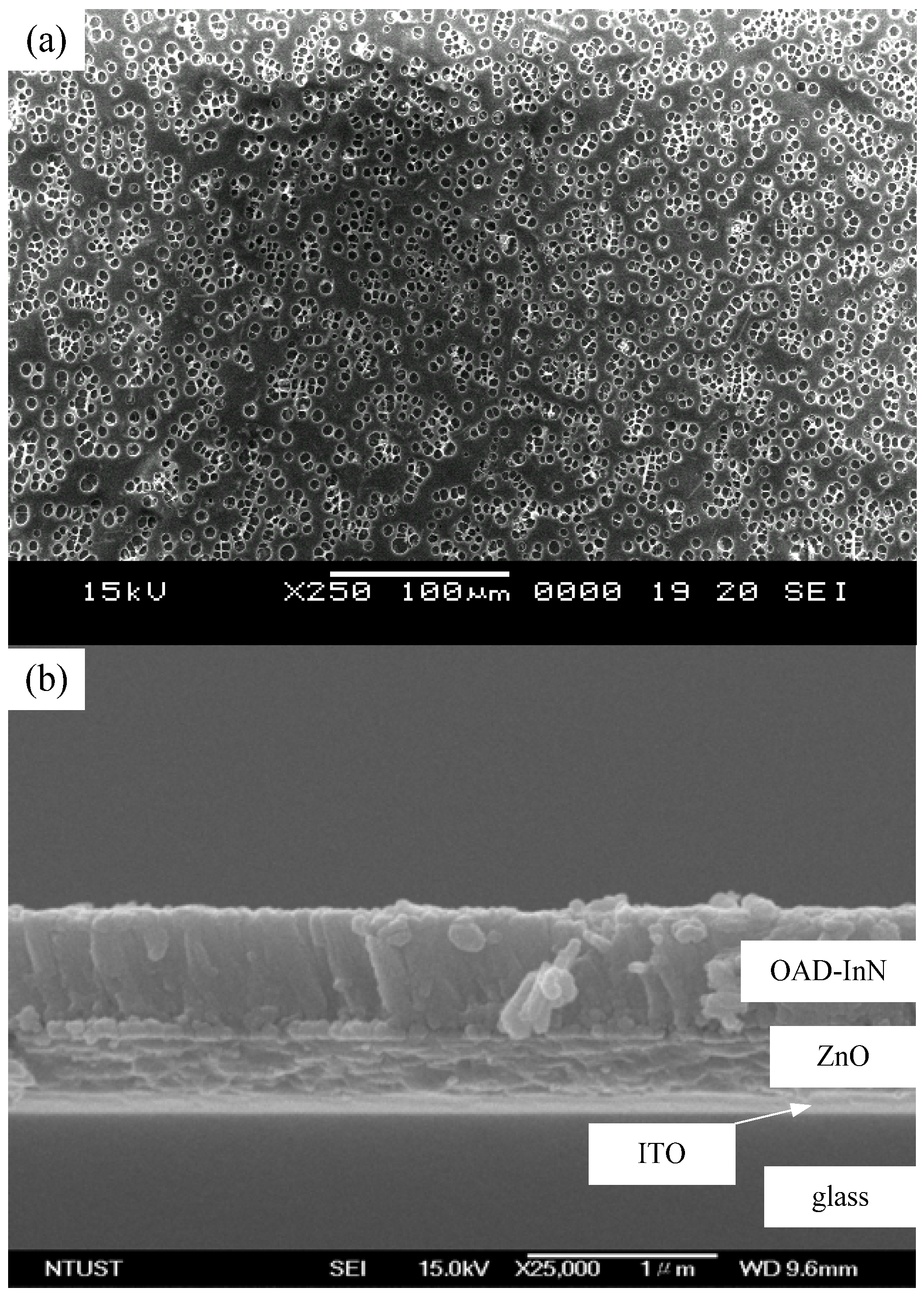 Molecules 17 09496 g003
