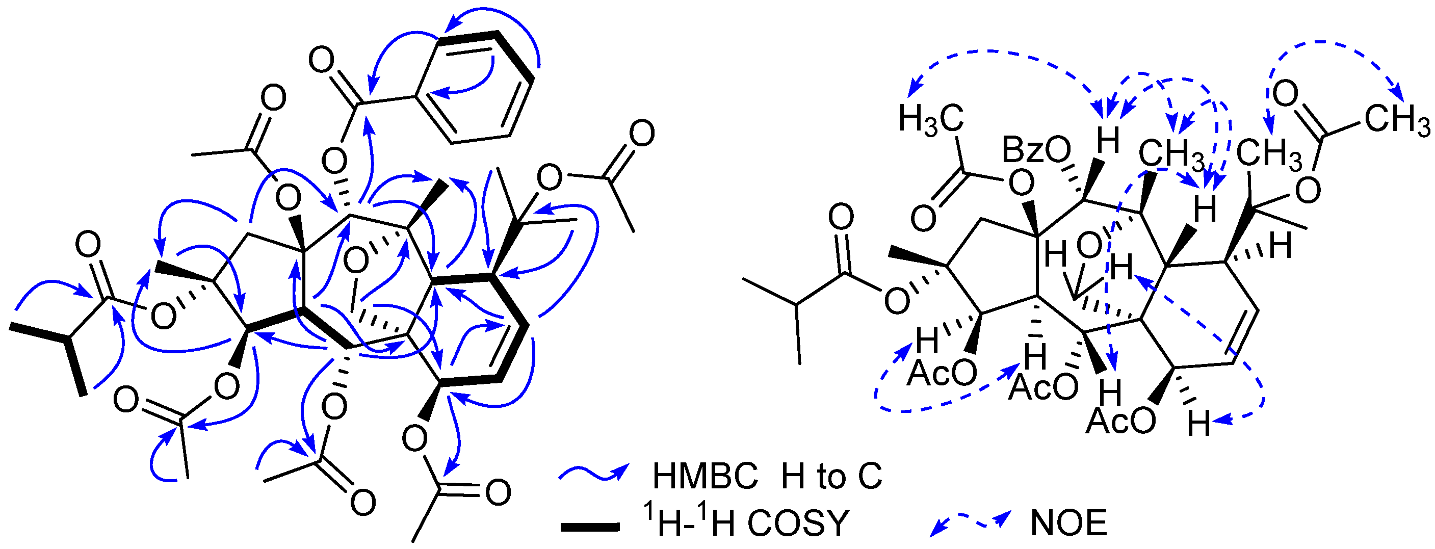 Molecules 17 09520 g002