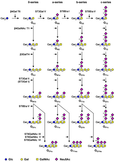 Molecules 17 09559 g001 550