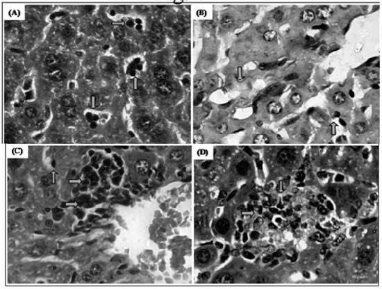 Molecules 17 09573 g006 550