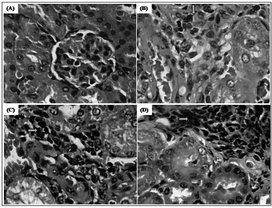Molecules 17 09573 g007 550
