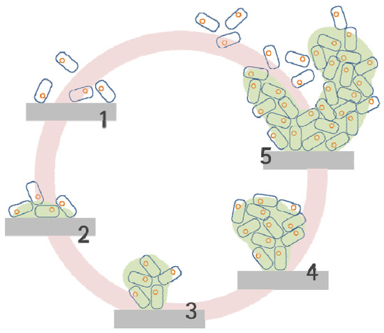 Molecules 17 09818 g001 550