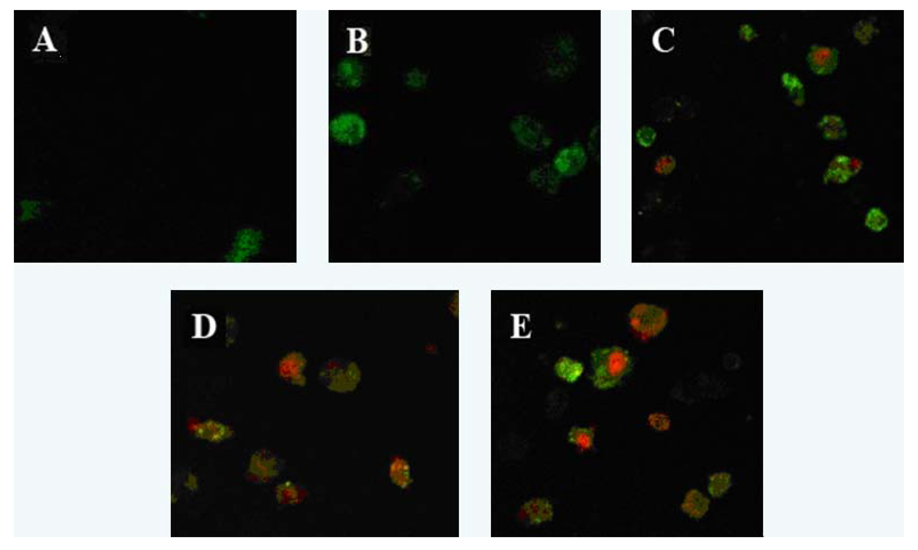 Molecules 17 09947 g002