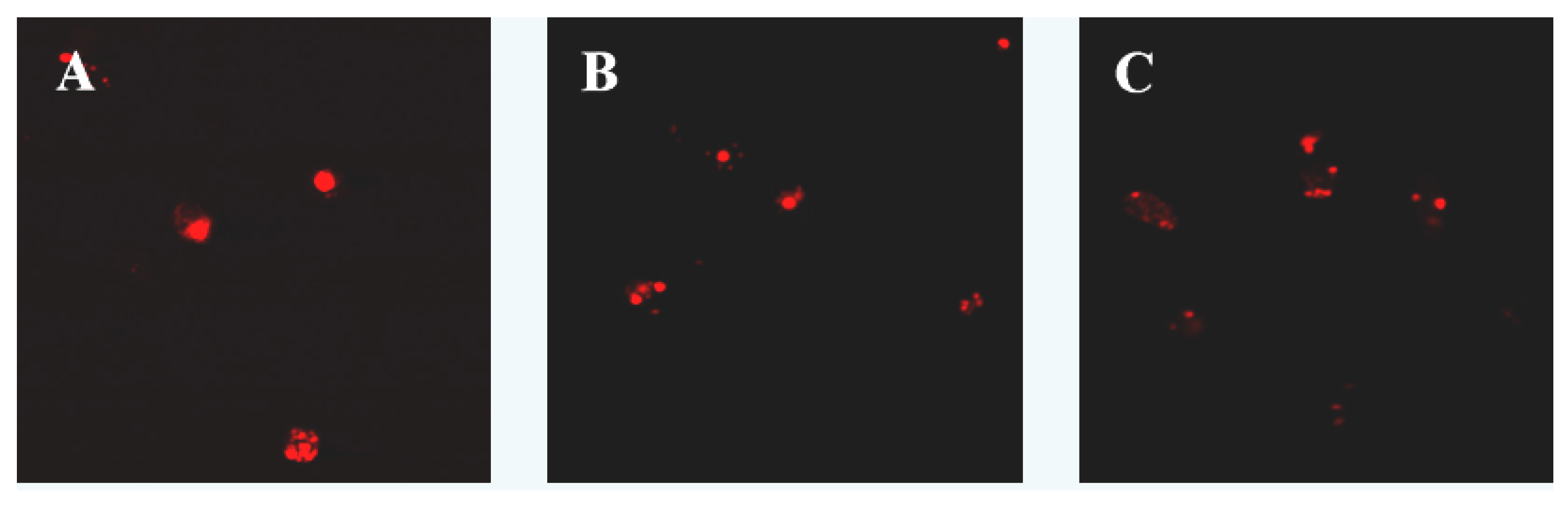 Molecules 17 09947 g006a