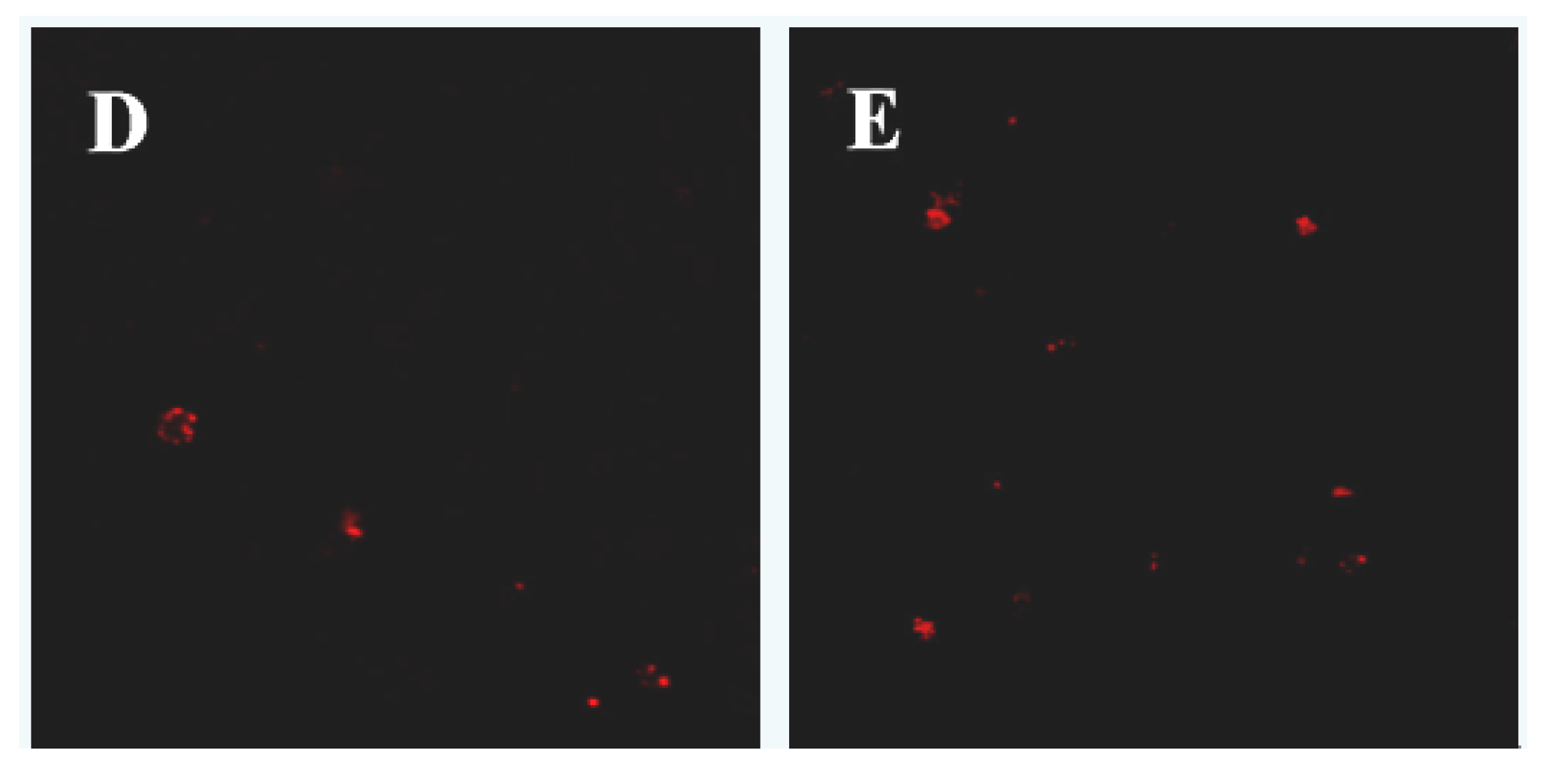 Molecules 17 09947 g006b
