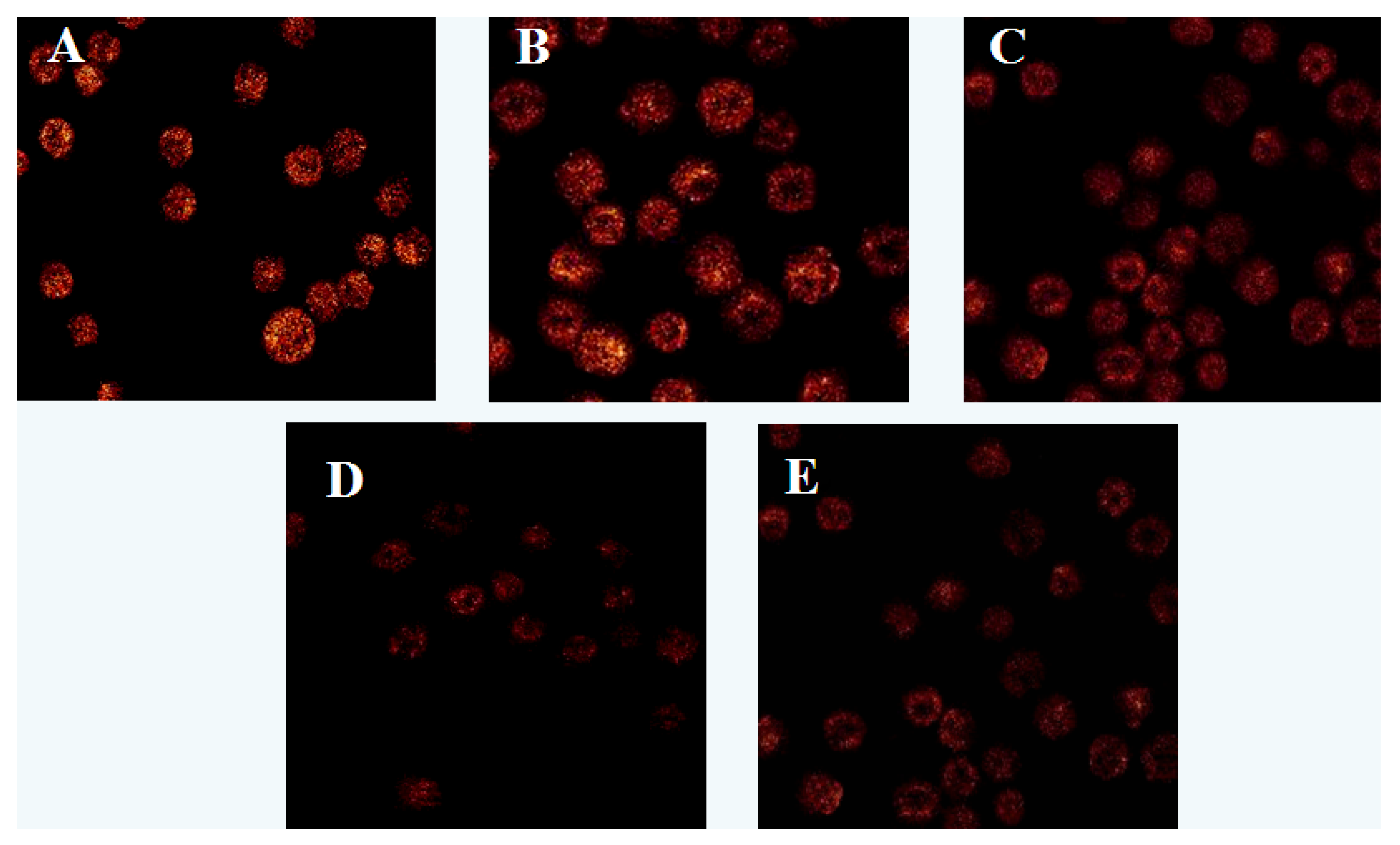 Molecules 17 09947 g007