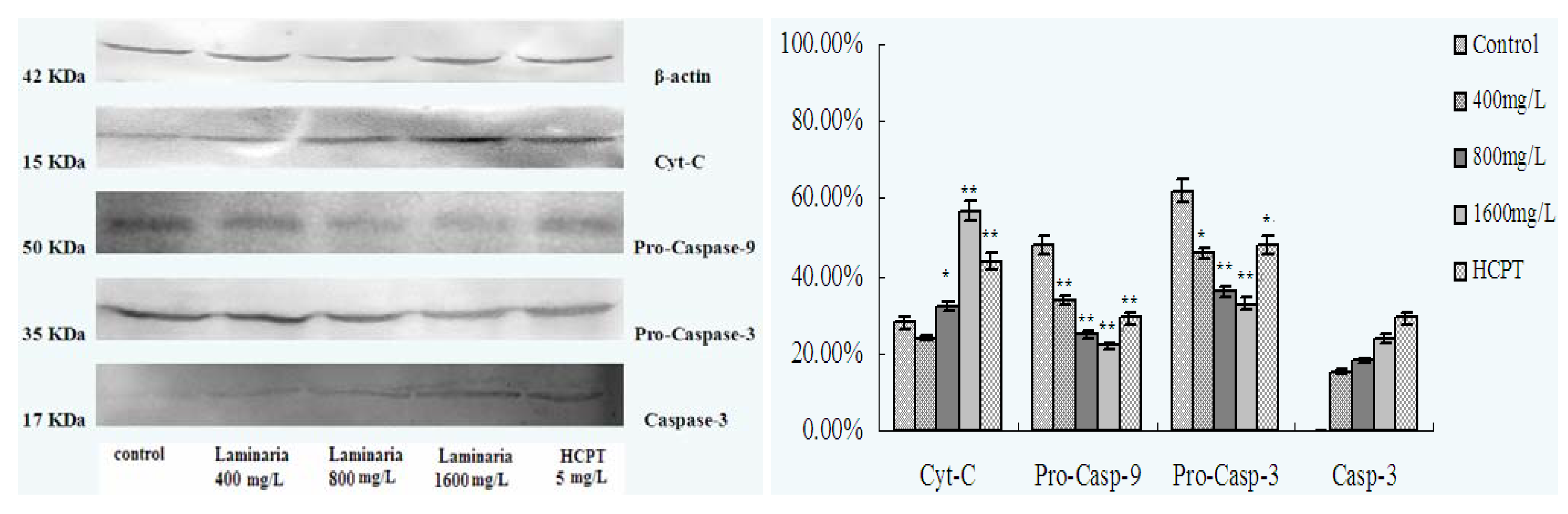 Molecules 17 09947 g008