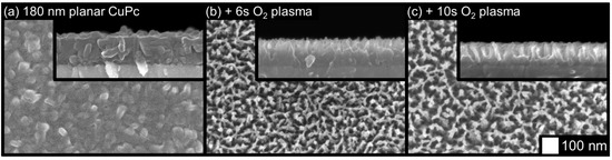 Molecules 17 10119 g002 550