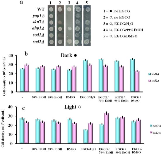 Molecules 17 10355 g004 550