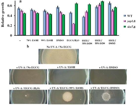 Molecules 17 10355 g006 550