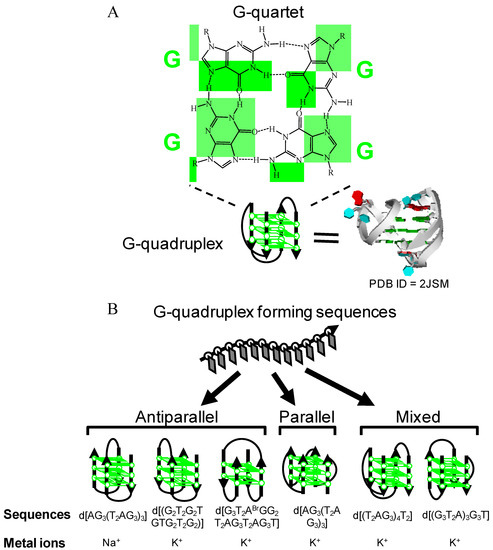 Molecules 17 10586 g001 550