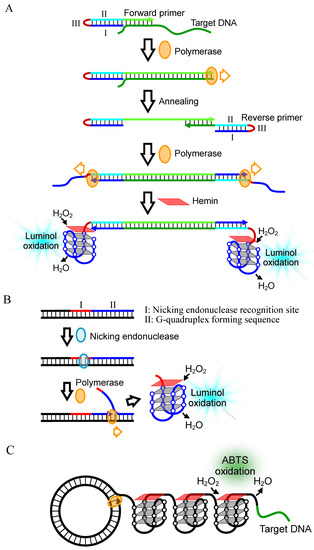 Molecules 17 10586 g008 550